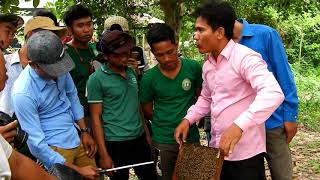 Khmer beekeeping: Show agricultural students to understanding honeybees like