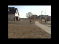 Patient Puppy Waits for the School Bus