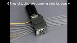 6 channel Pump / Small Peristaltic Pump - TAKASAGO FLUIDIC SYSTEMS