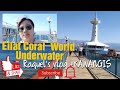 Eilat Coral World Underwater Observatory #KAWANGIS