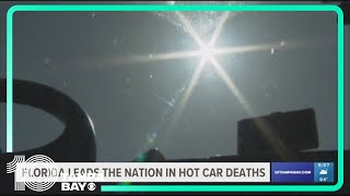 Florida leads the nation in hot car deaths