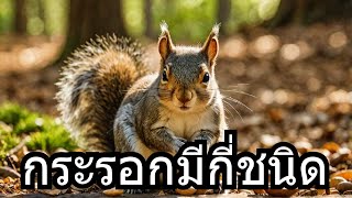 สารคดีกระรอกมีกิ่ชนิด