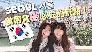 🌸首爾賞櫻必去的景點！Cherry Blossoms In Korea 서울의 벚꽃 | DORIS HOR