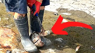 Hunting For Rare Ammonites In Pyrite Rocks! (FOUND A STUNNER)