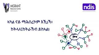 ሓጺር መግለጺ፡ ብዛዕባ ኪኖ ደረታት ( Project Overview, Tigrinya)