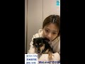 【한국어 자막/日本語字幕/ENG SUB】If you're bored, come in.🌟 20210105【TWICE VLIVE】