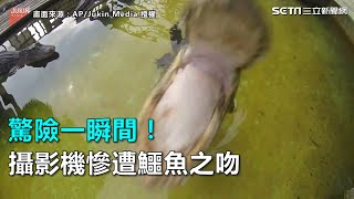 驚險一瞬間！ 攝影機慘遭鱷魚之吻｜三立新聞網SETN.com