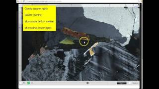 Introduction to the Virtual Microscope 1