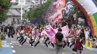 夜さ来い　夏舞輝～乱～＠2016　浦和よさこい