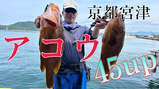 【京都 宮津】日本海でアコウ釣り！【後編】EP194