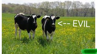 Are Cows Destroying The Earth??? Ft Brain changer