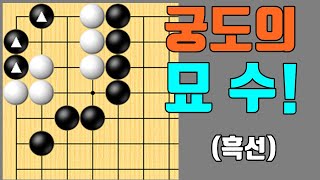 백돌을 꼼짝못하게 만드는 궁도의 묘수! [바둑문제 #82]