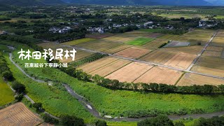 林田移民村/北林，大榮一二村｜花東縱谷鳳林客庄｜空拍EP69