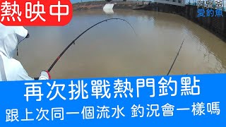 【阿賢爸】愛釣魚 Ep.41 再次挑戰熱門釣點 跟上次同一個流水 咬況會一樣嗎?    (珠鉤釣法阿賢爸大咬釣組) [半字幕]