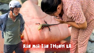 Bẫy Rắn Mối * KIẾM TIỀN TRIỆU ** Rắn Mối TÂN THẠNH LA..Đây Sao..?