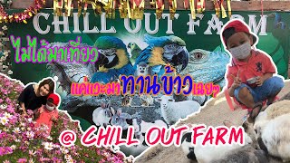 #tartornado | ไม่ได้มาเที่ยว แค่แวะมาทานข้าวเฉยๆ @CHILL OUT FARM