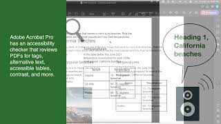 PDF Document - Canvas Accessibility Guide