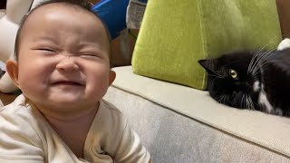 赤ちゃんが寝ている間に近付く猫　ラガマフィンA cat that approaches while the baby is sleeping. Ragamuffin.