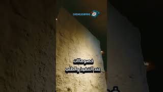 تسوقوا المجموعة الأكثر مبيعًا كل ما تحتاجه لتبدو بمظهر متألق وفاخر🥰#المتحدةMZ_لبديل_الحجر01016208195