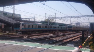 京浜東北線E233-1000番台VS湘南新宿ライン・上野東京ライン・東海道線E233-3000番台並走バトル‼️