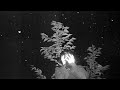 BLVCK CEILING - Chemtrails