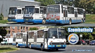 Ikarus 263-asok és 280-asok Szombathelyen - 2016