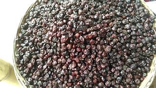 জানুন পাইকারি শুকনো বড়োই এর দাম || Dry Boroi Price