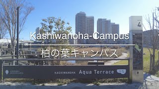 [4K] Kashiwanoha-Campus 柏の葉キャンパス [Chiba 千葉] [Walk 散歩] #566