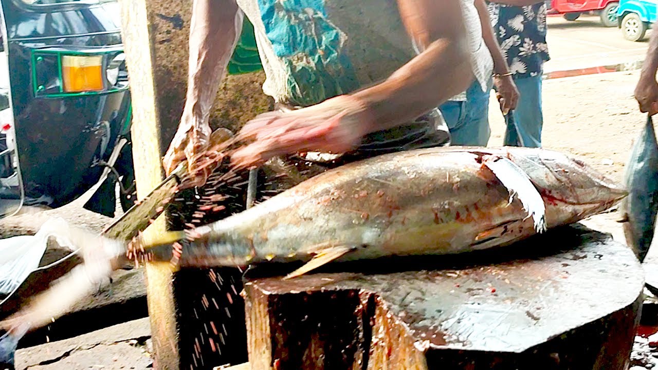 Huge Tuna Cutting Skills Fish Cutting Skills Youtube