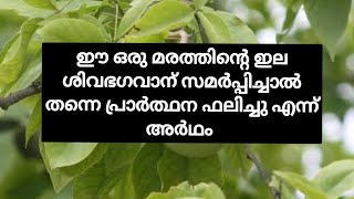 ആഗ്രഹ സാധ്യത്തിന് കൂവളത്തില ഇങ്ങനെ സമർപ്പിക്കു @EswaraSannidhi