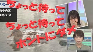 み～ちゃん　思い出の一枚（2021年12月2日当時のシーンおまけ付き）　【戸北美月】