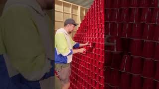 largest cup tower #shorts #youtubeshorts #shortsvideo #short #viral