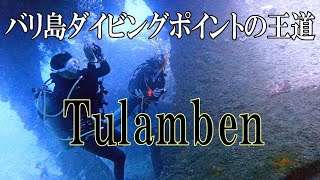 【バリ島ダイビング】王道ポイント「トランベン」の沈船を潜る！