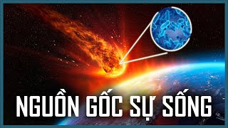 Human resources: Is humanity derived from the space? | Vũ Trụ Nguyên Thủy