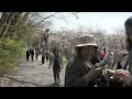 2012 平岡梅林公園 hiraoka plum grove park2012