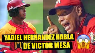 YADIEL HERNANDEZ habla de VICTOR MESA ⚾ 😱 ¡Sin Pelos en la Lengua!