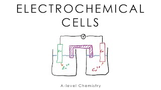 Electrochemical Cells