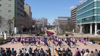 浜松学生連 鰻陀羅　2017がんこ祭3/11（土）　東街区ロータリー会場