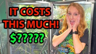 How much does a chameleon cost
