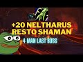 Restoration Shaman +20 Neltharus | Dragonflight Season 2