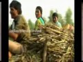 cheruvoyi ma oori cheruvu telangana village lake song