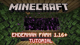 Enderman Farm Tutorial (Minecraft 1.16)