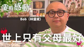 Bob 林盛斌的霎時感動丨親情勝萬金丨成長丨人生哲理丨勵志丨正能量丨心靈雞湯