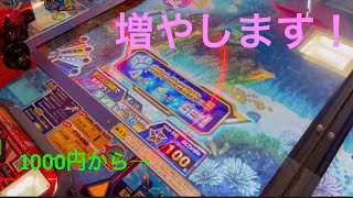 【メダルゲーム】キノがアプデの入った釣りスピリッツに1000円で挑戦してみた！