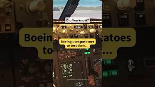 Boeing and POTATOES Surprising Connection 😮 #shorts #facts #boeing #education