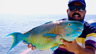 തത്തമ്മയെ വെടിവെച്ചിട്ട് ചുട്ടുതിന്നു 😱 PARROT FISH HUNTING IN UNDER WATER  / UNDERWATER FISHING