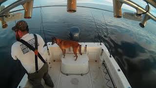 Rockfish on the Rappahannock