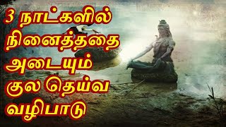 3 நாட்களில் நினைத்ததை அடையும் குல தெய்வ வழிபாடு   Sattaimuni Nathar