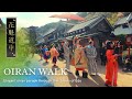 【日光江戸村】花魁道中 Oiran walk - Elegant Oiran parade through the streets of Edo