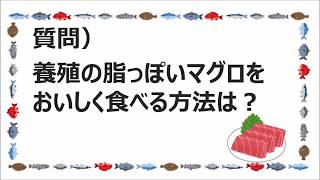 養殖の脂っぽいマグロをおいしく食べる方法は？/魚がしコンシェルジュ講座